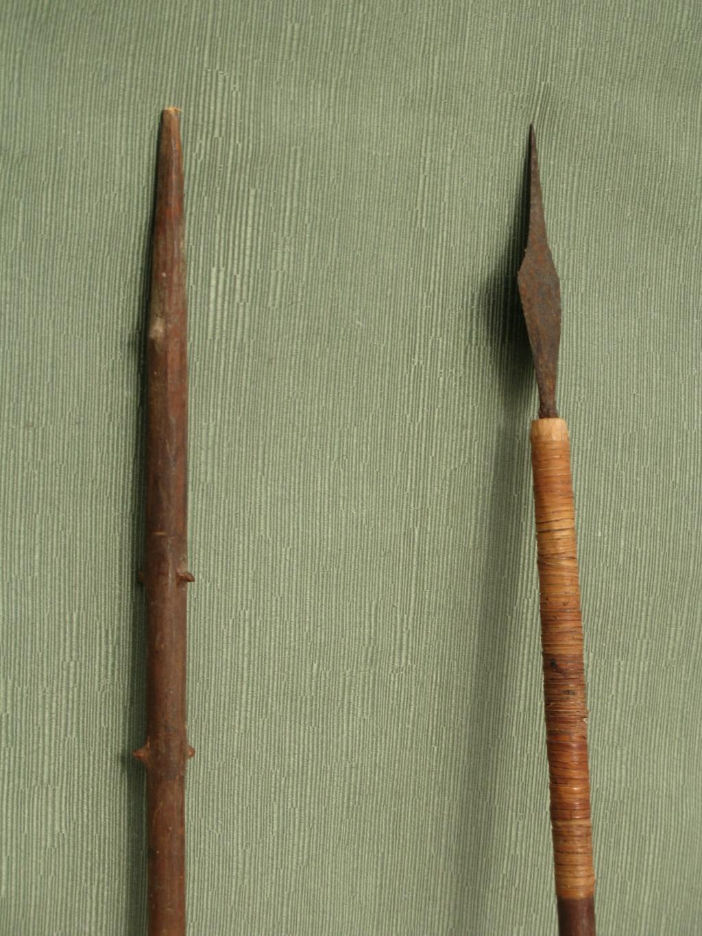 FLECHAS INDÍGENAS