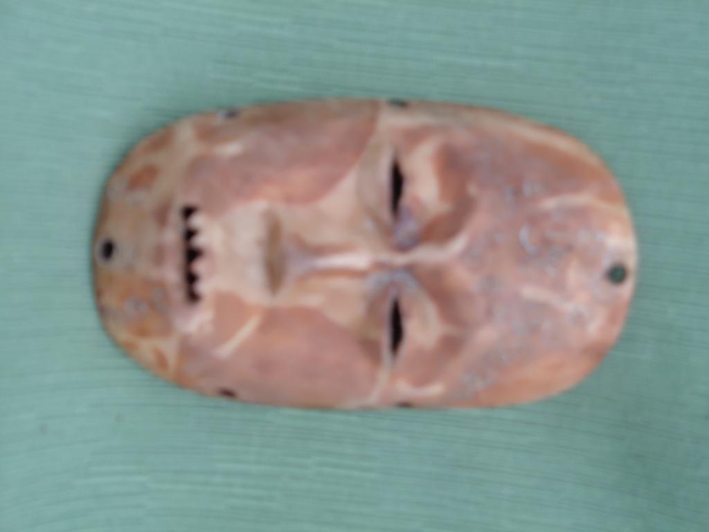 MASCARILLA DE HOMBRO