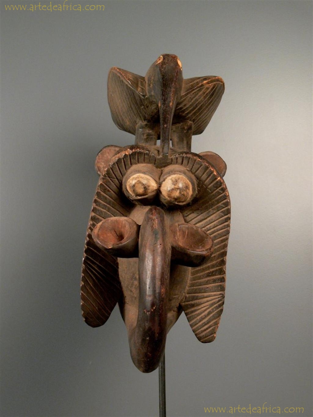 MASCARA ELEFANTE